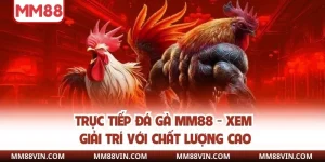 Trực Tiếp Đá Gà MM88 - Xem Giải Trí Với Chất Lượng Cao 7 trực tiếp đá gà